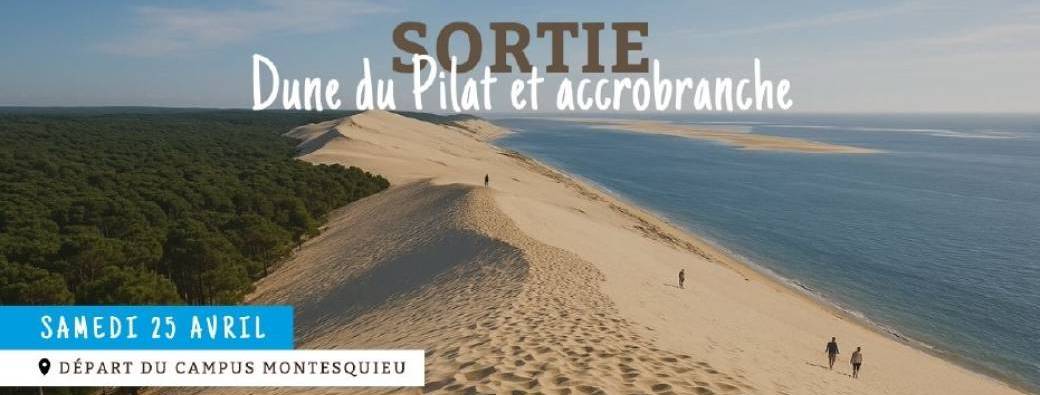 Sortie Dune du Pilat - Accrobranche