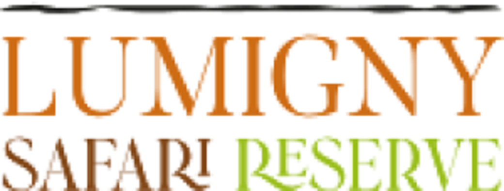 Sortie Familles au Lumigny Safari Réserve
