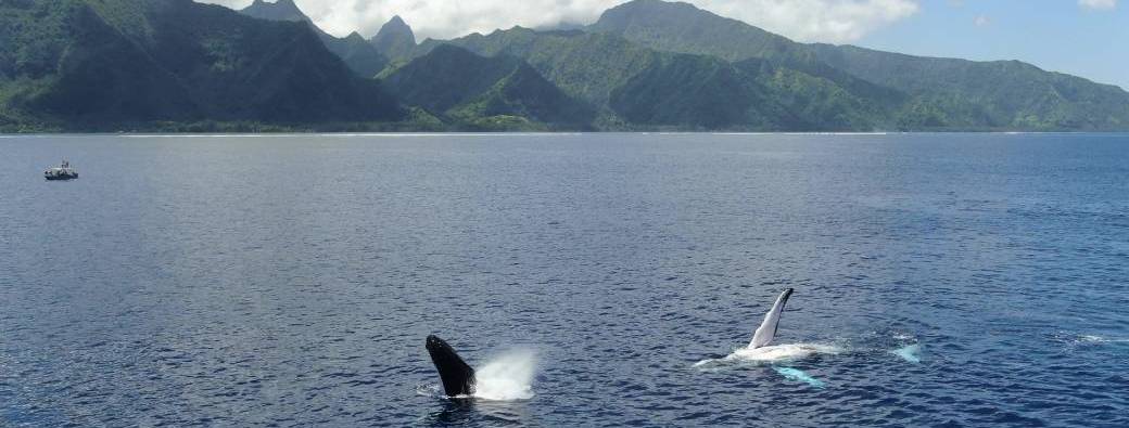 Sortie Lagon & Océan 2026