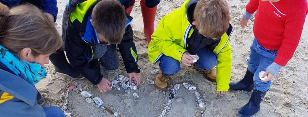 Sortie nature "Chasse aux trésors sur la plage"