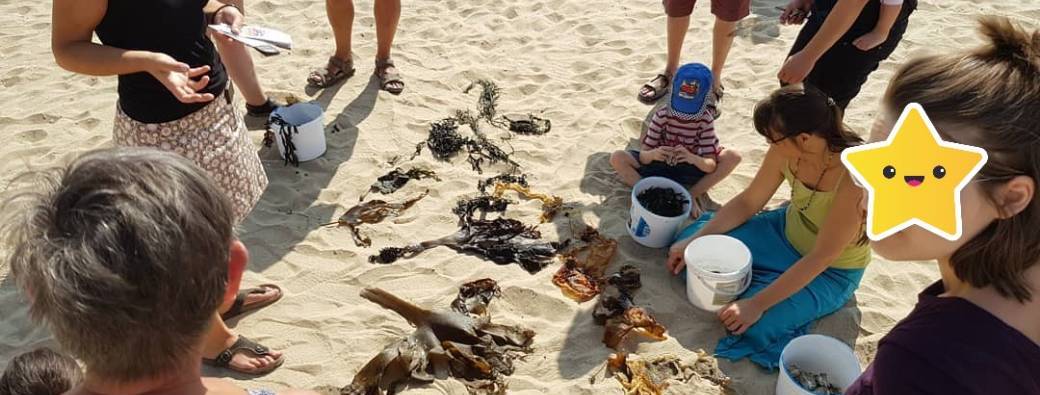 Sortie nature "Chasse aux trésors sur la plage"