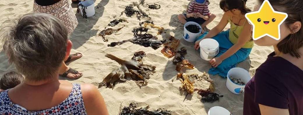 Sortie nature "Chasse aux trésors sur la plage"