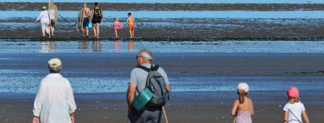 Sortie nature "En route pour la pêche à pied"