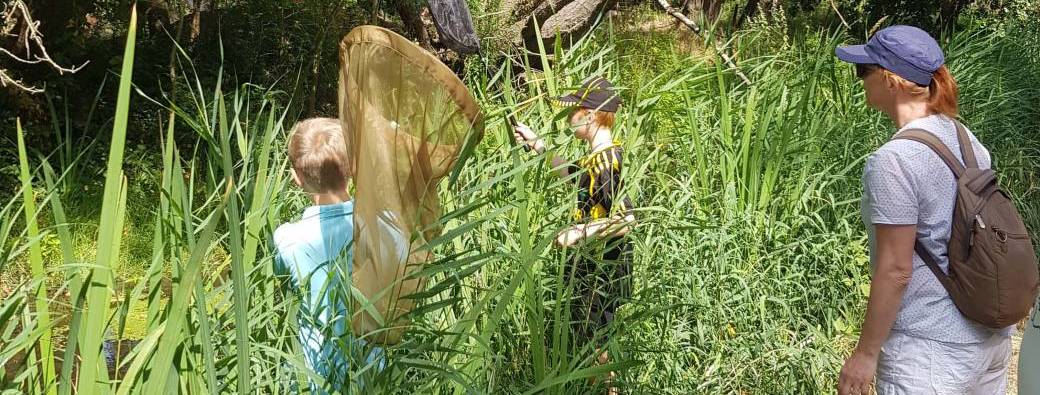 Sortie nature GRATUITE "Course aux insectes"