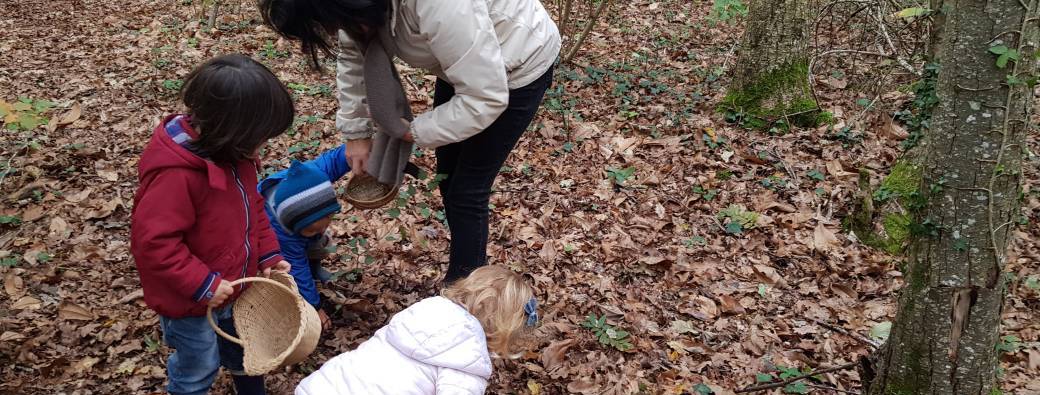 Sortie Nature Le Bois Roy avec Marmaille et Pissenlit