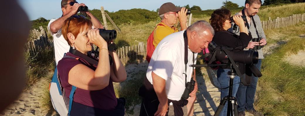 Sortie nature  "Les oiseaux de l'estuaire"