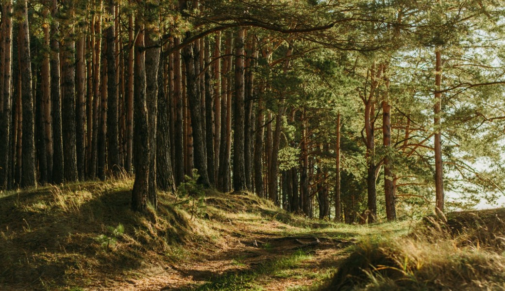 Les rendez-vous nature