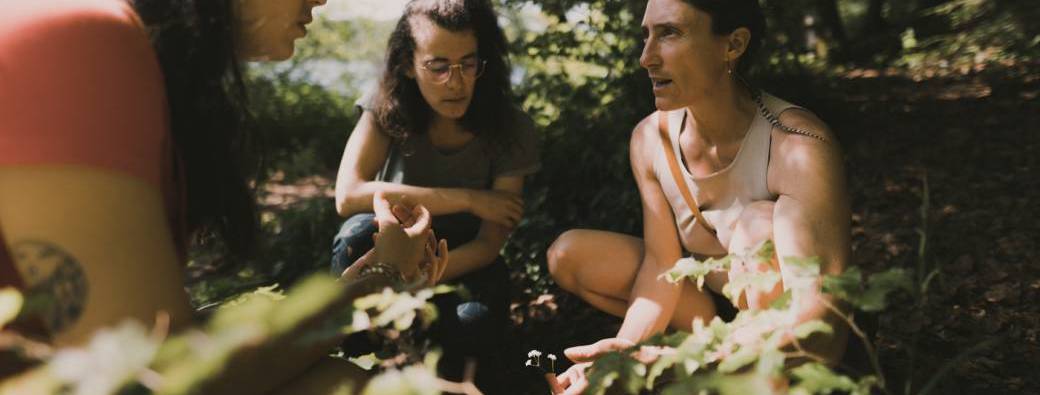 Sortie Plantes Médicinales, Comestibles et Toxiques