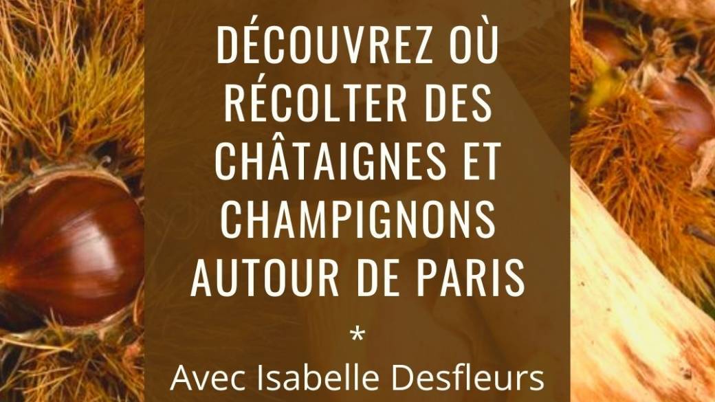 [COMPLET] SORTIE Récolte de CHATAIGNES et CHAMPIGNONS autour de Paris