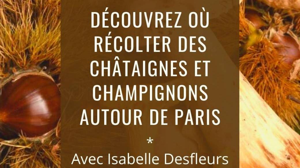 SORTIE Récolte de CHATAIGNES et CHAMPIGNONS autour de Paris