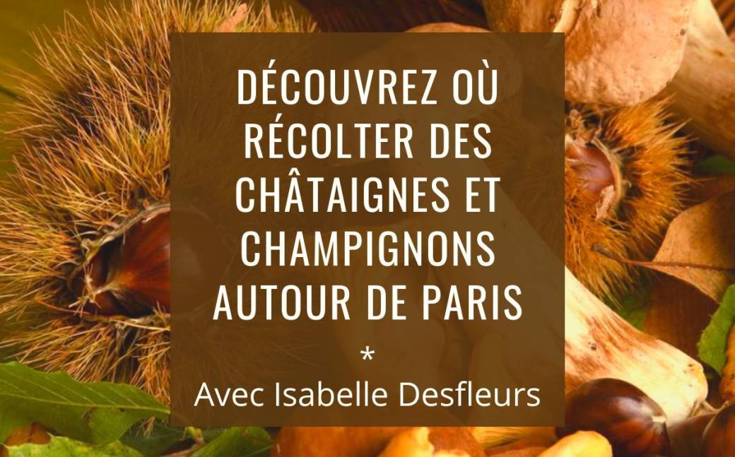 SORTIE Récolte de CHATAIGNES et CHAMPIGNONS autour de Paris