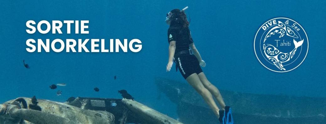 Sortie Snorkeling