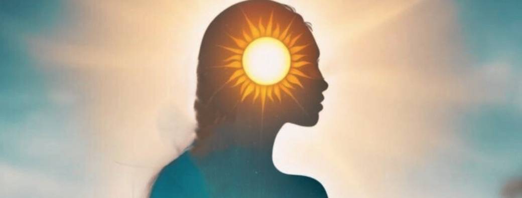 Sortir du mode survie - Réguler son système nerveux pour retrouver énergie, santé et équilibre