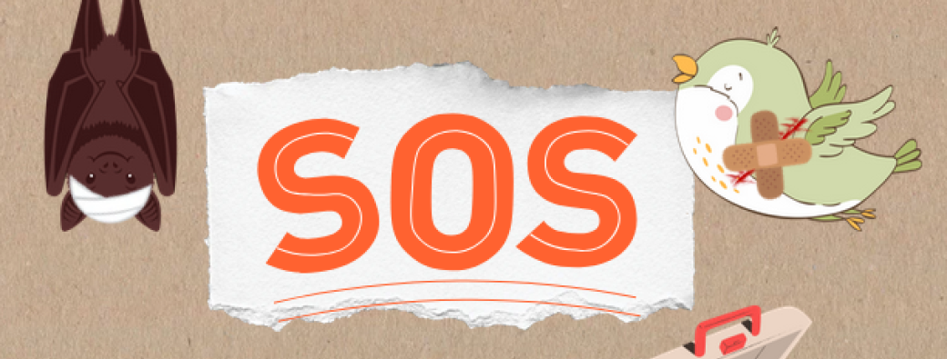 SOS Animaux en détresse ! 4-7 ans