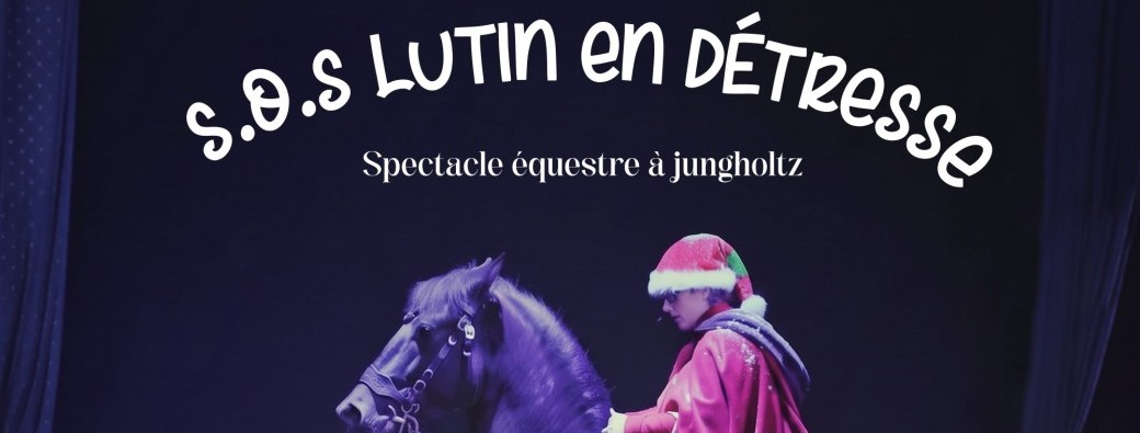 SOS lutin en détresse, conte équestre de Noël