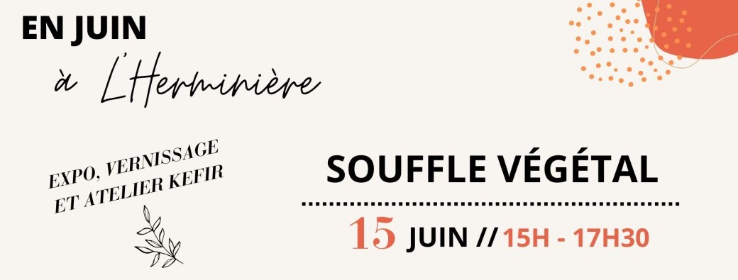 Souffle végétal ! Expo de Sophie Morille et atelier kéfir