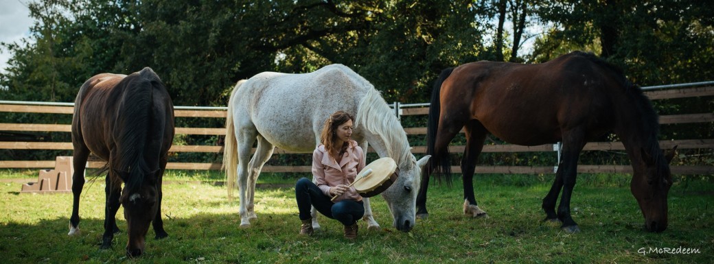 Soutien chevaux Equiféerie