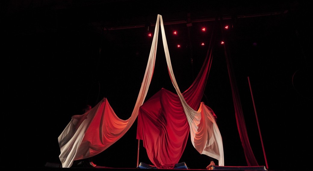 Spectacle de Danses Aériennes