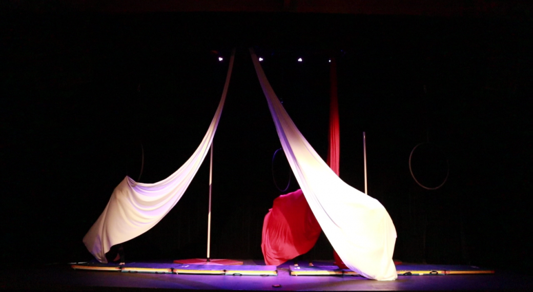Spectacle de Danses Aériennes