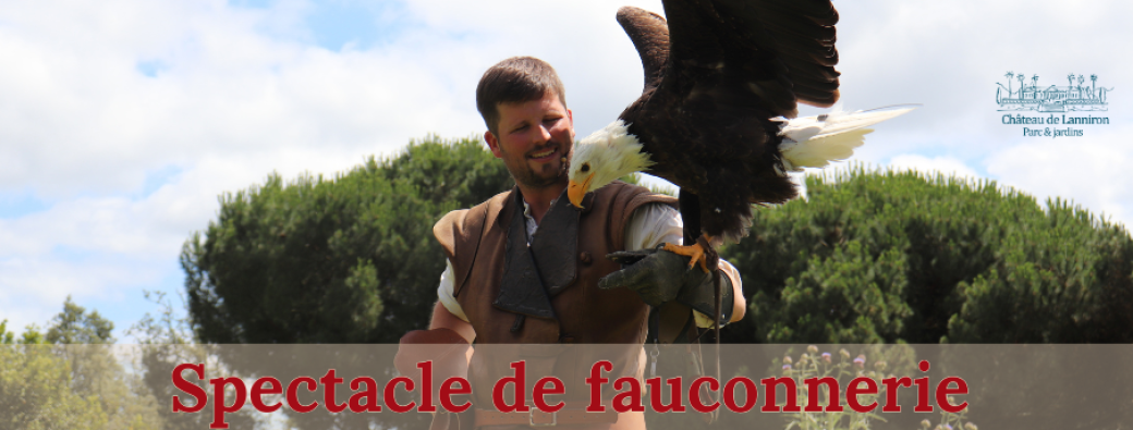 Falconry Show