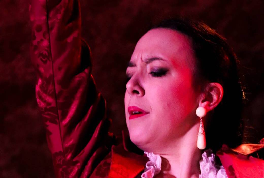 Spectacle de flamenco 