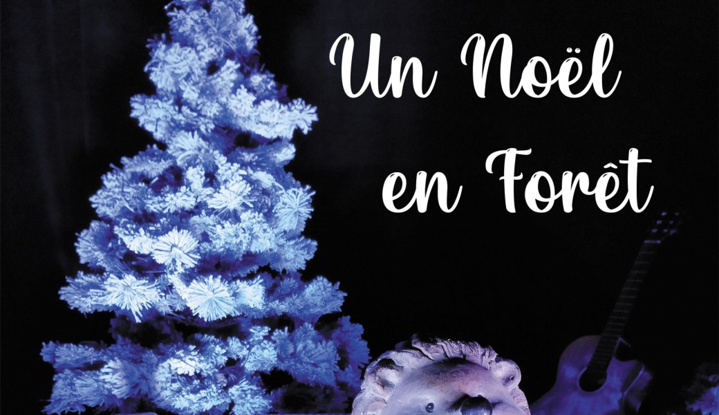 Spectacle de Noël à la médiathèque 