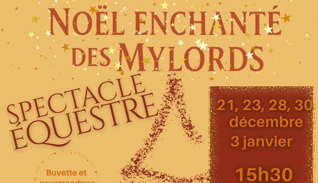 Spectacle de Noël