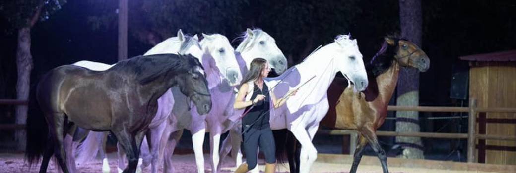 Spectacle équestre