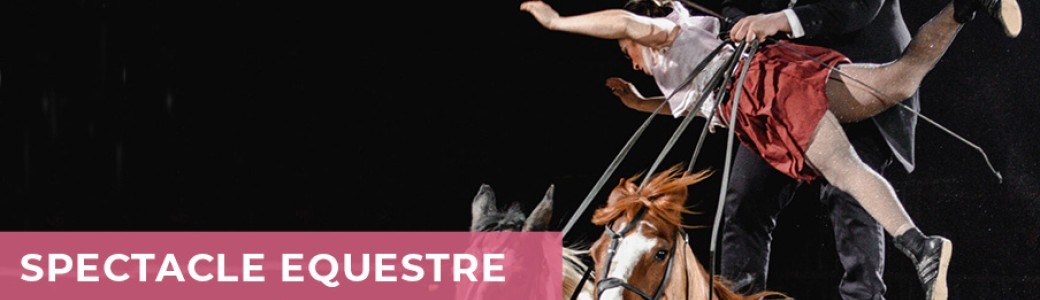 Spectacle Equestres 