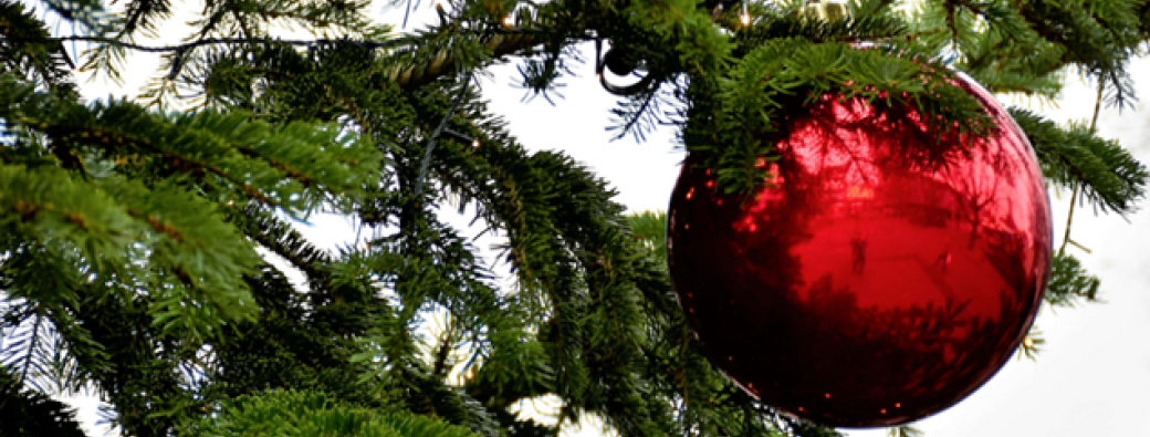 Spectacle : Le noël de mami Camomille