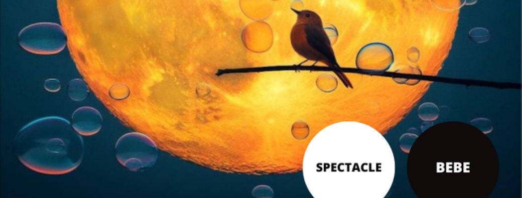 Spectacle "Le soleil se lève" // Agora Médiathèque Musée 