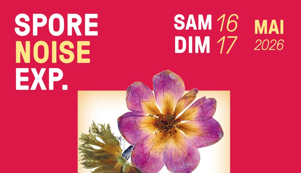 SPORE NOISE EXP (SAMEDI)