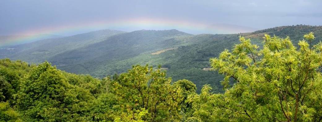 Spring 2026 Three-Month Sphere of Refined Gold Retreat