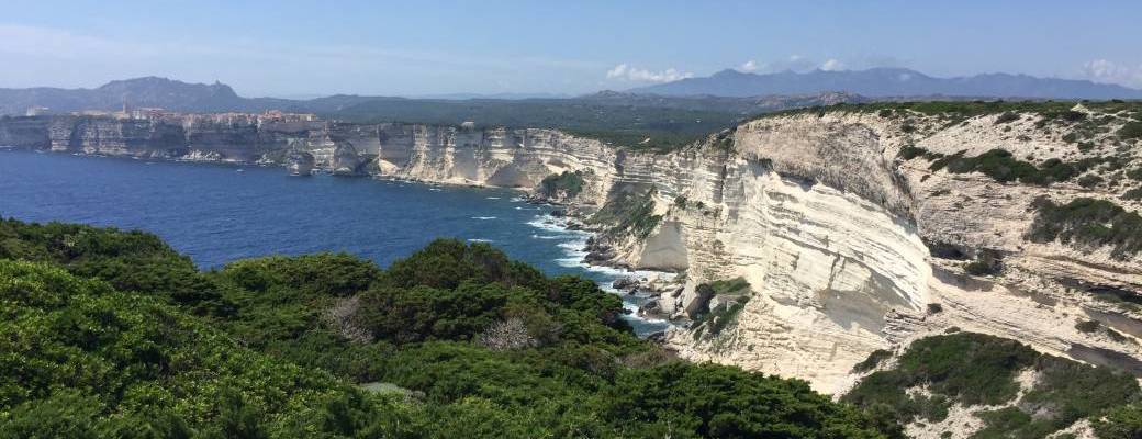 Stage Plantes médicinales et aromatiques de Corse du Sud