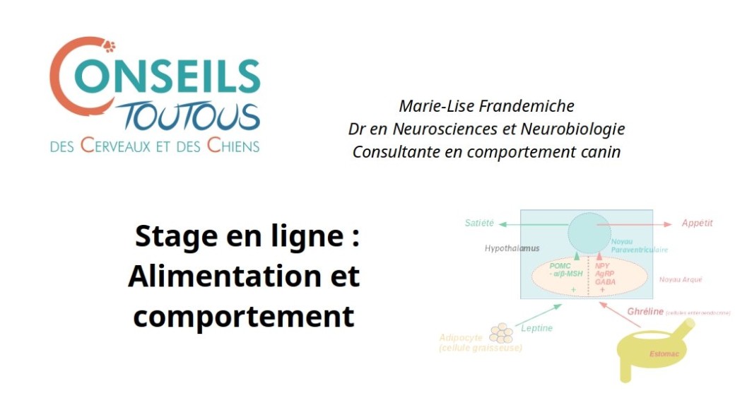 Stage - Alimentation et comportement