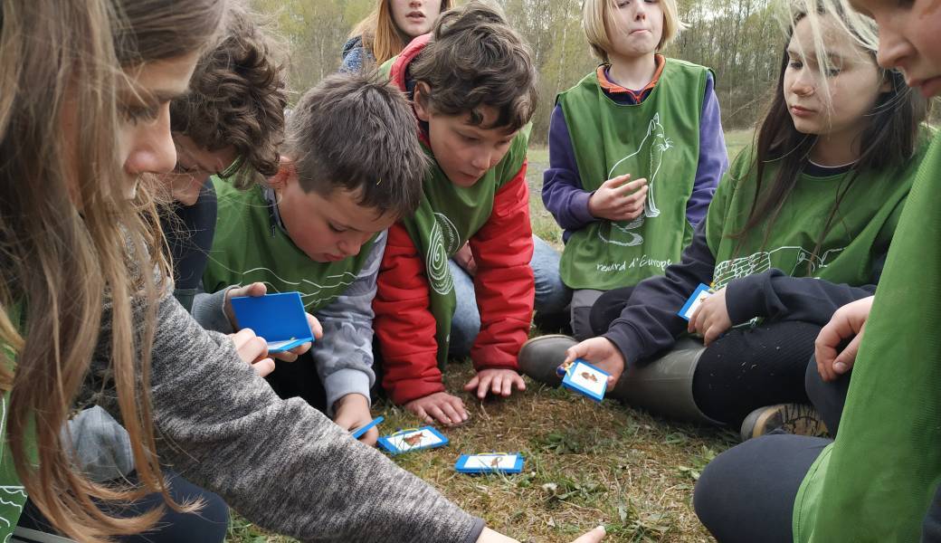 Stage "Allez hop à l'aventure"  9 - 12 ans