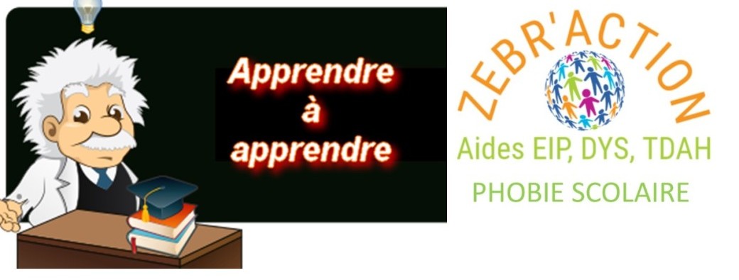STAGE APPRENDRE A APPRENDRE 4e/3e et lycéens pour les examens