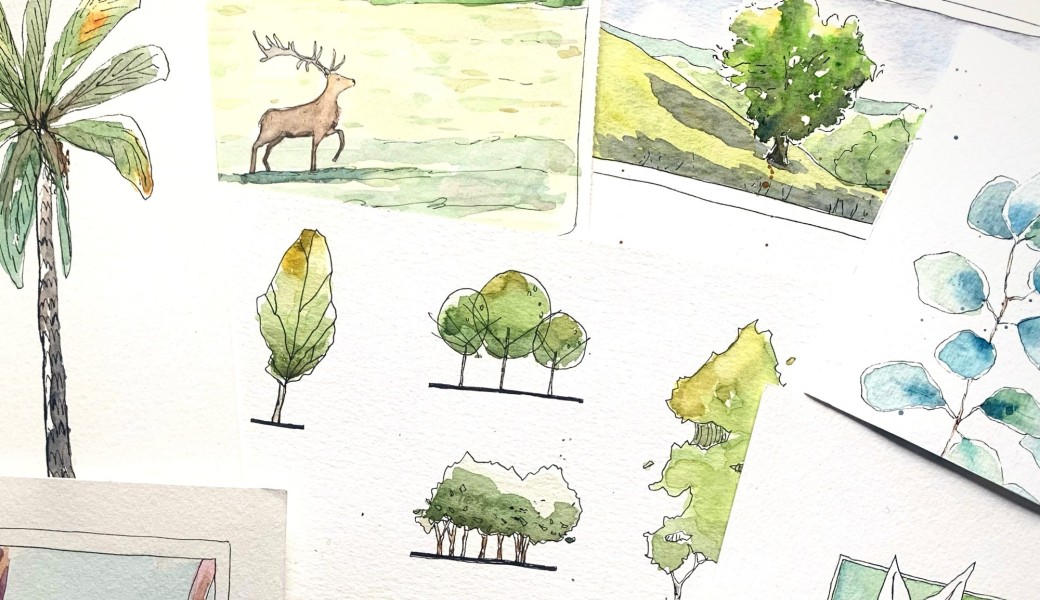 Stage aquarelle "autour des arbres"