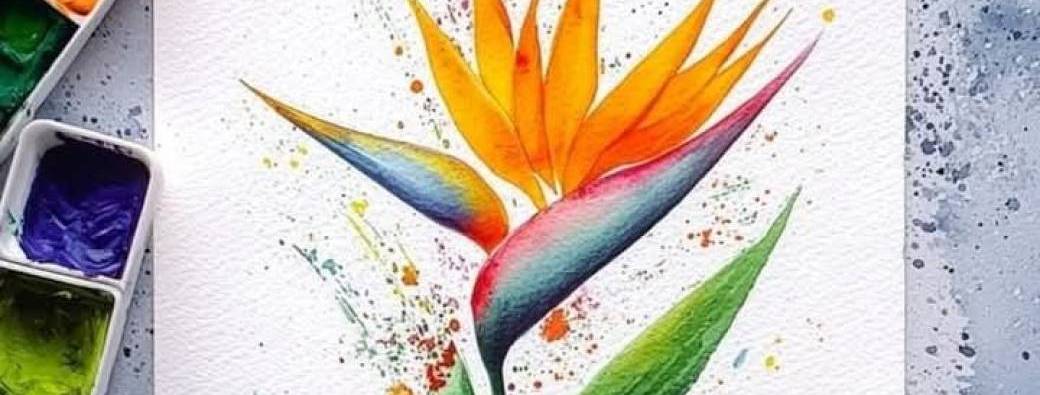 Stage aquarelle fleurs et couleur