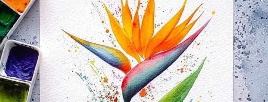 Stage aquarelle fleurs et couleurs