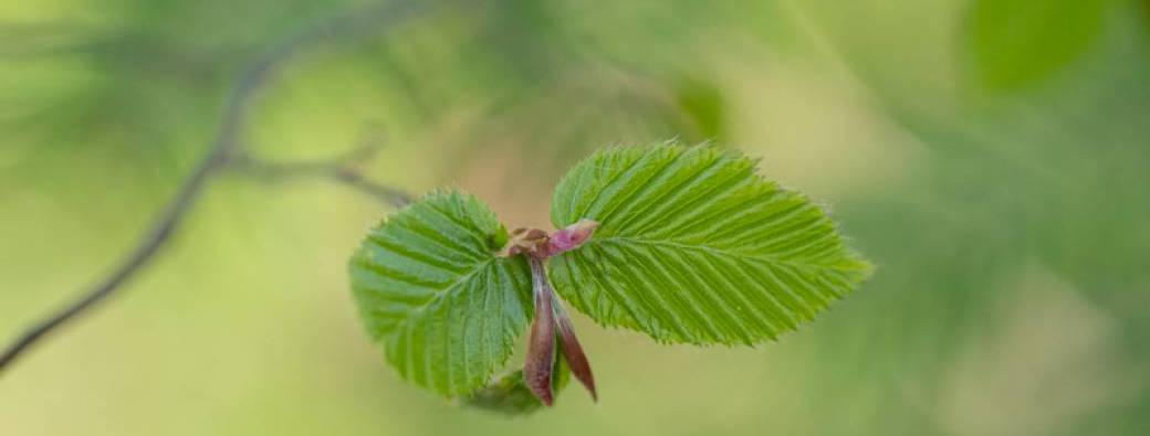 Stage “Arrêtez le mode auto"