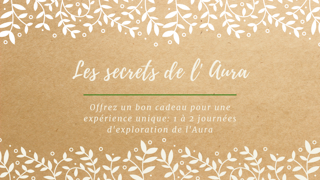 Stage Aura niveau 1