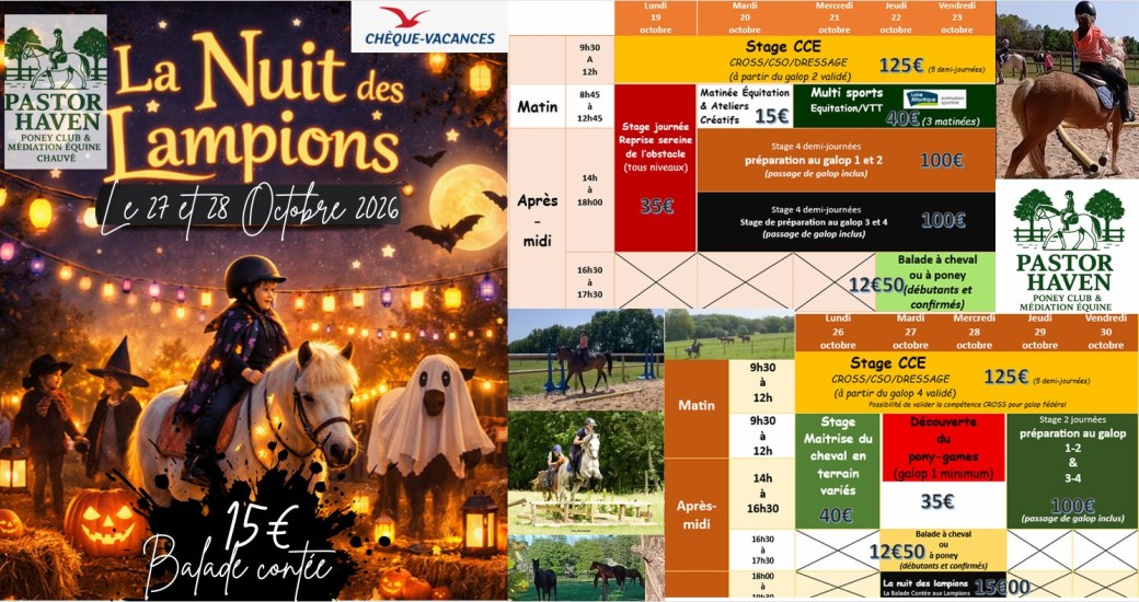 Stage automne 2026
