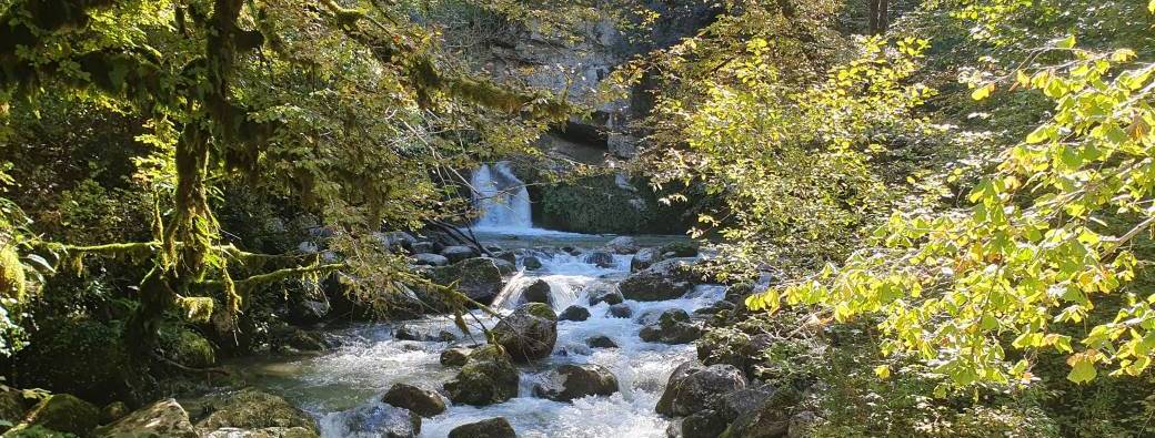 STAGE BAIN FROID EN CASCADE - Niveau Initié