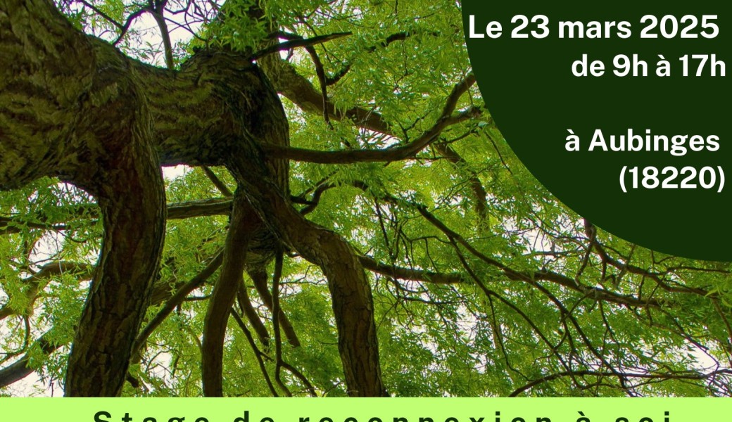 Stage bain de forêt et éveil des sens
