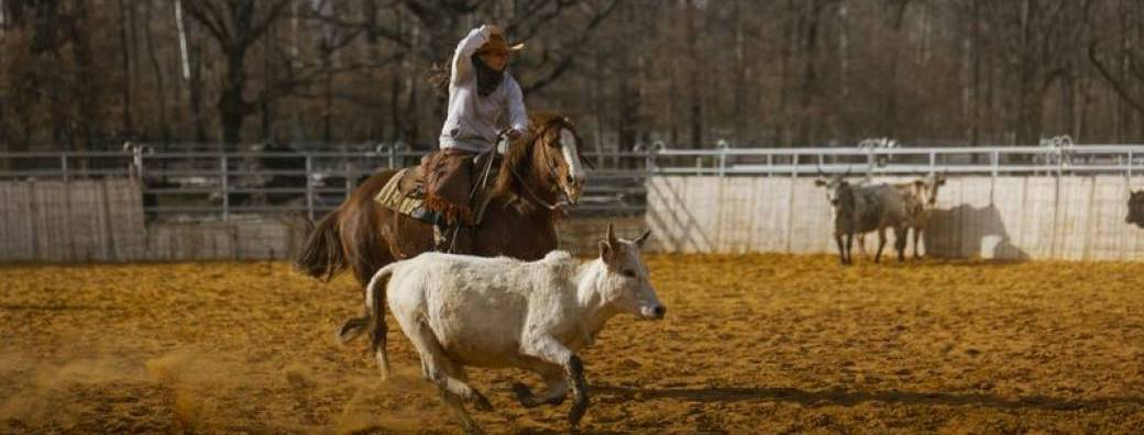 STAGE BETAIL pour cavaliers confirmés
