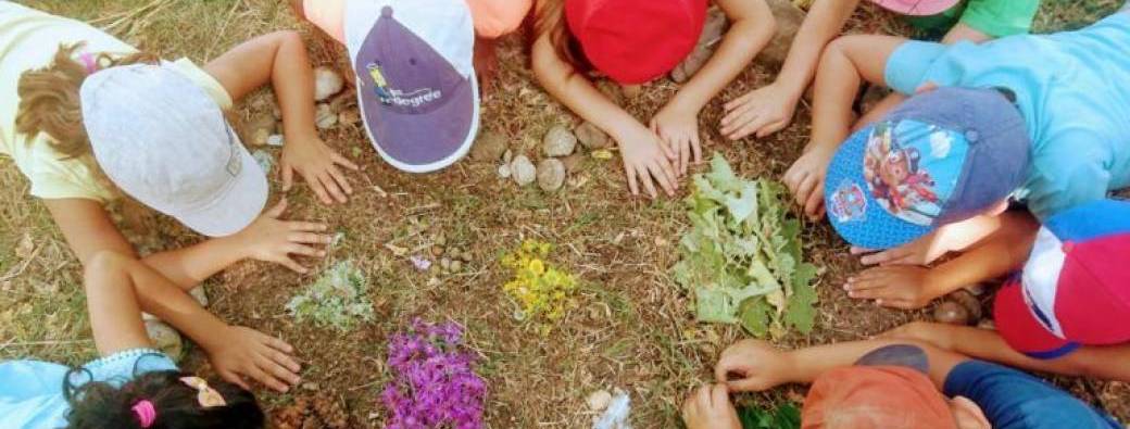 Stage - Bien-être / Créatif + Ferme (7 à 9 ans)