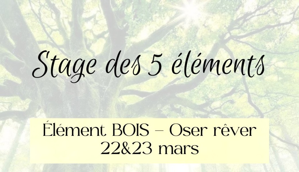 Stage BOIS - Oser rêver