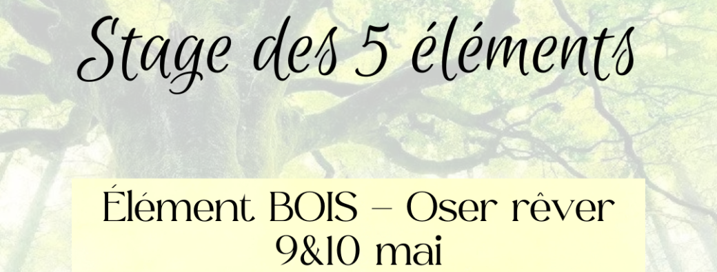 Stage BOIS - Oser rêver