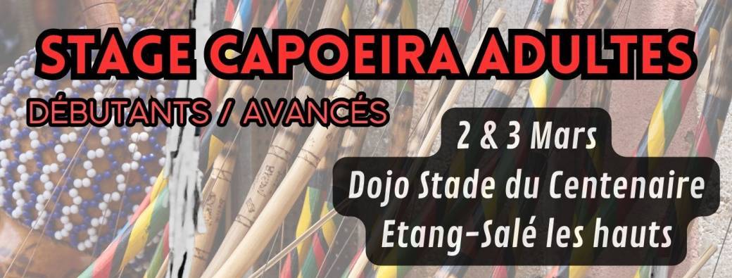 STAGE CAPOEIRA ADULTES ✨